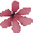 fleur